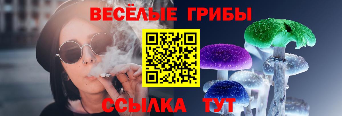 хочу   Псилоцибиновые грибы прущие грибы  Вход с VPN  Великие Луки 